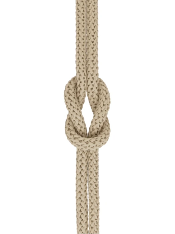 day weeding (5).png