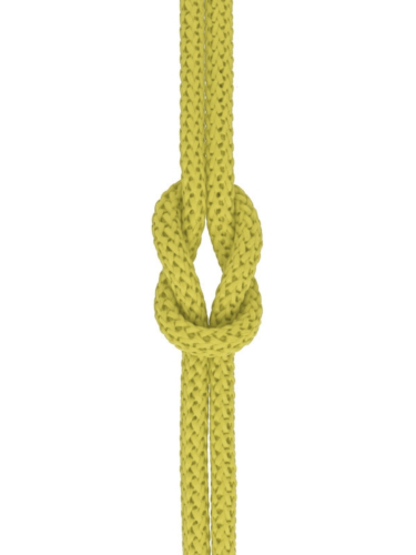 day weeding (10).png